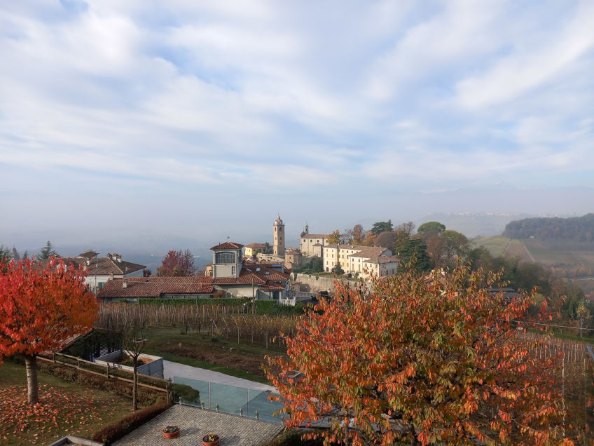 Landscape at Conterno Fantino Vineyard