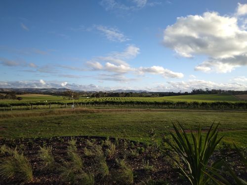 The green rolling hills surounding the Pikes estate