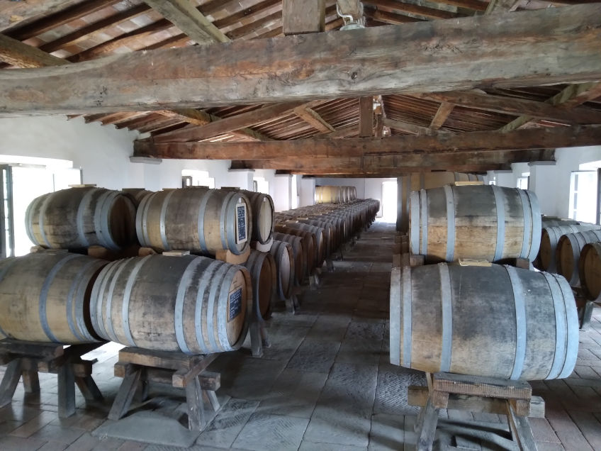 Rows and rows of barrels