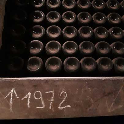 Old bottles in the Bertani cellar