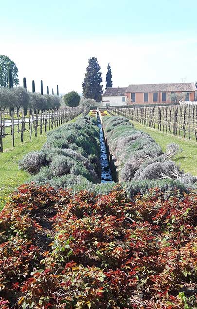 The Bertani winery