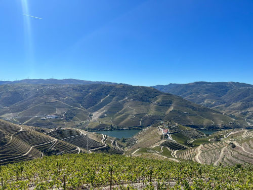 Views of sunny Douro valley