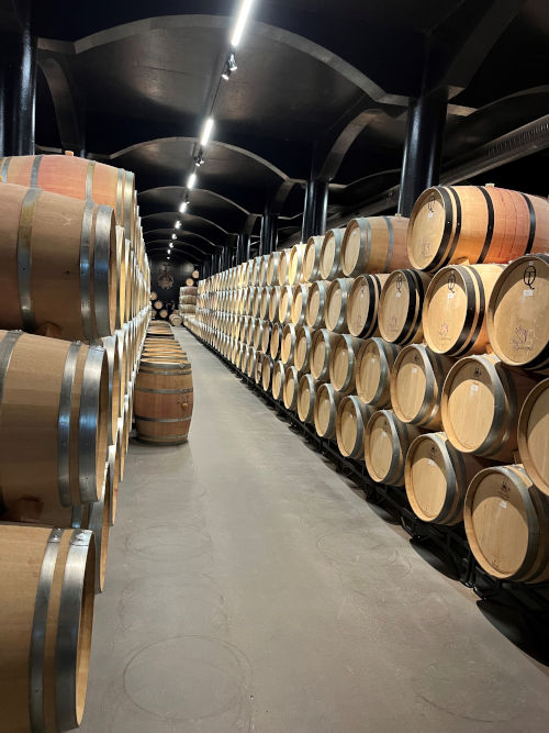 Oak barells inside the crasto winery