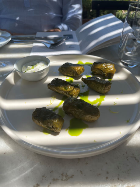 Traditional Dolmades, vine leaves stuffed with rice and herbs