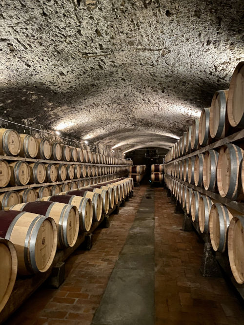 Barrels in the famous estate of Castello