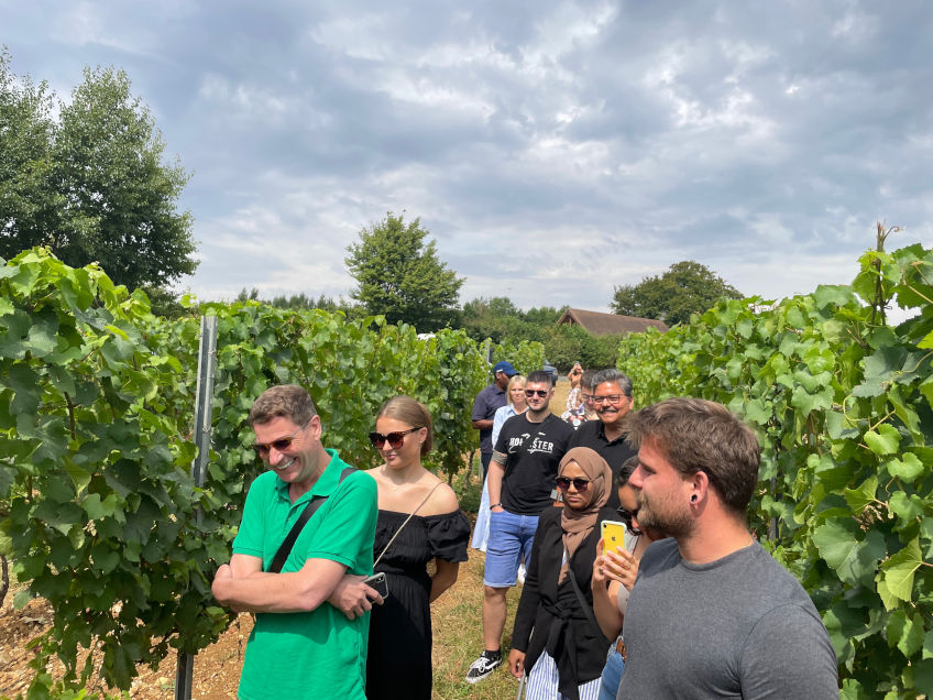 Our group making their way through the vines