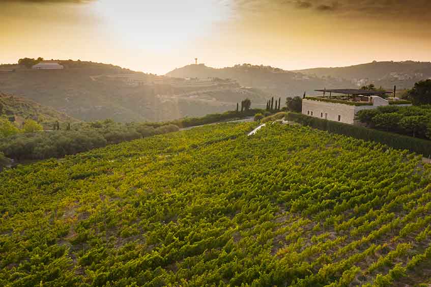 The sun sets over Ixsir's vineyards