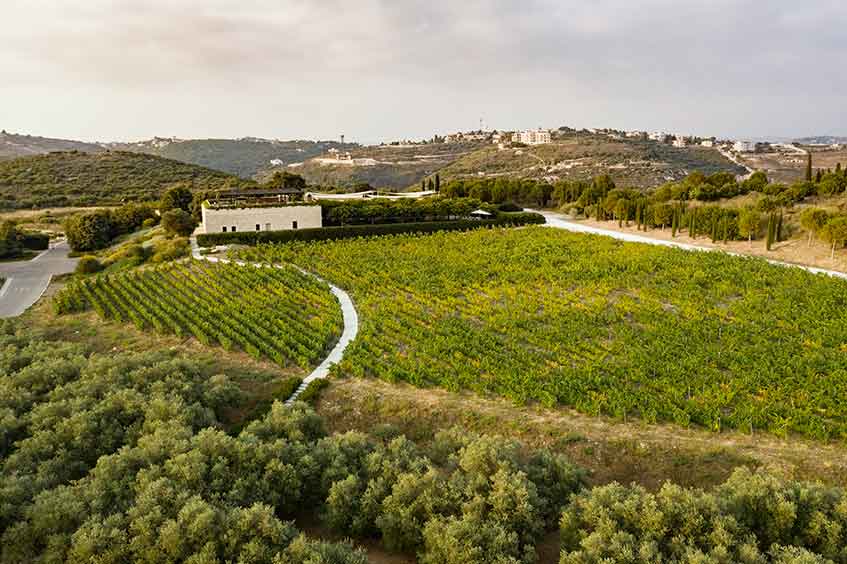 The bucolic vineyard setting of Ixsir