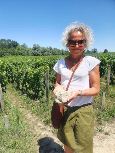 Claire illustrating the limestone-rich soils