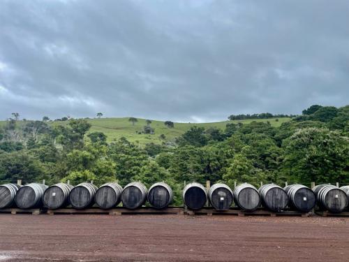 Man O' War barrels lined outside