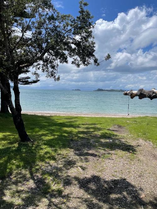 Tropical sea front of the island