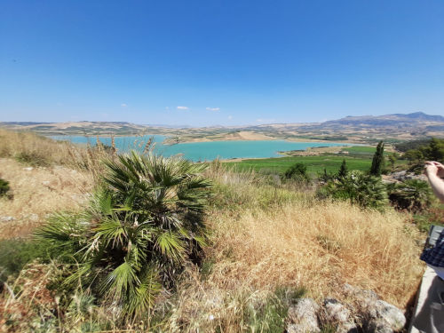 The view of the sea from Planeta vineyard