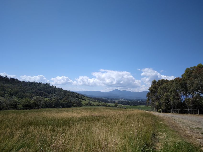 The landscape surrounding the winery