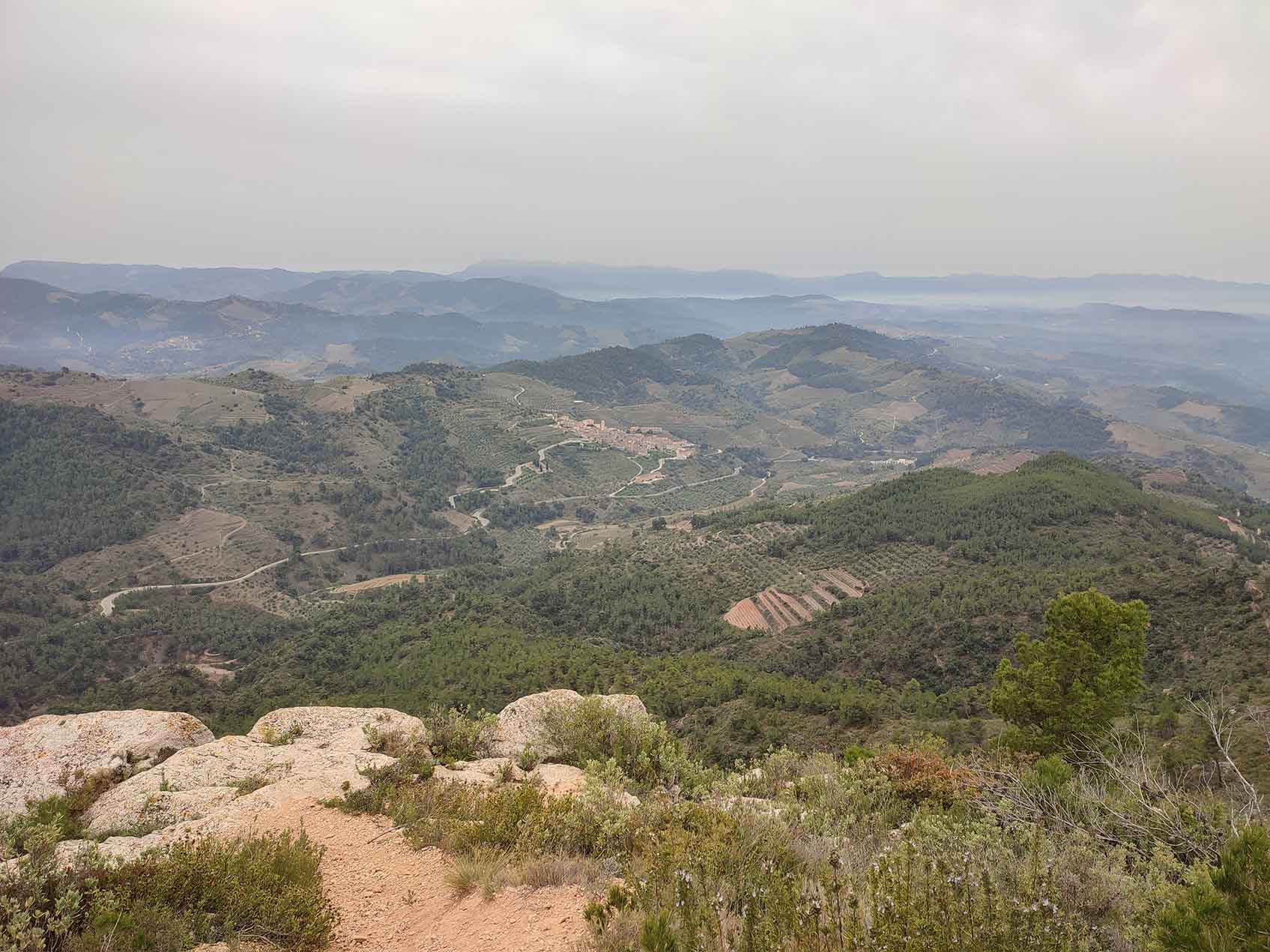 The landscape of Priorat