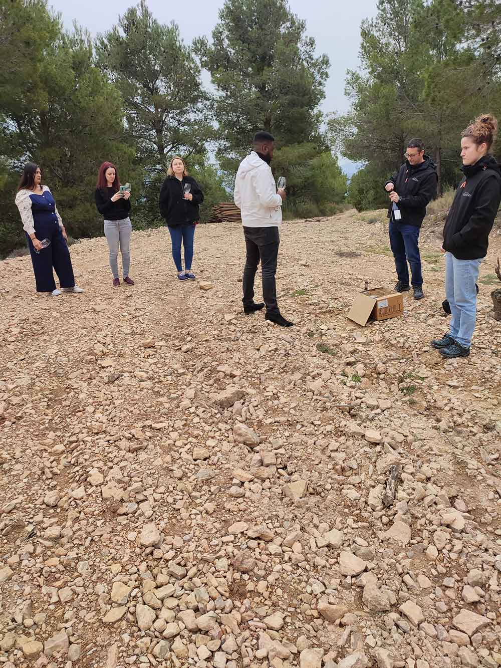 Soil in Scala Dei's vineyards