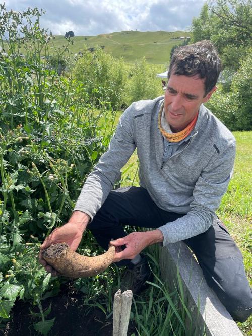 Digging for vegetables in the local farmland