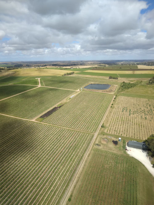 Bird's eye view of the vineyards