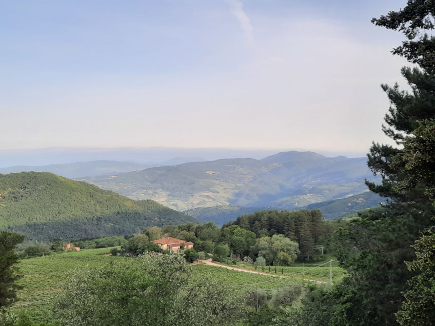 The stunning view from the Frescobaldi Hotel